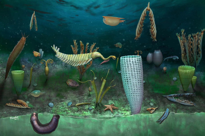威尔士发现4.6亿年前的海底“迷你世界”