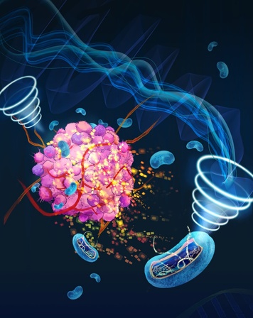 超声控制的细胞“生物炸弹”精准攻击肿瘤