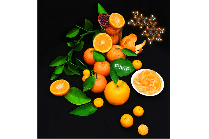 新研究解析柑橘里“天然抗癌药剂”的合成通路