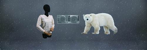 不畏冰冷！我国迷信家织就“北极熊毛衣”—往事—迷信网