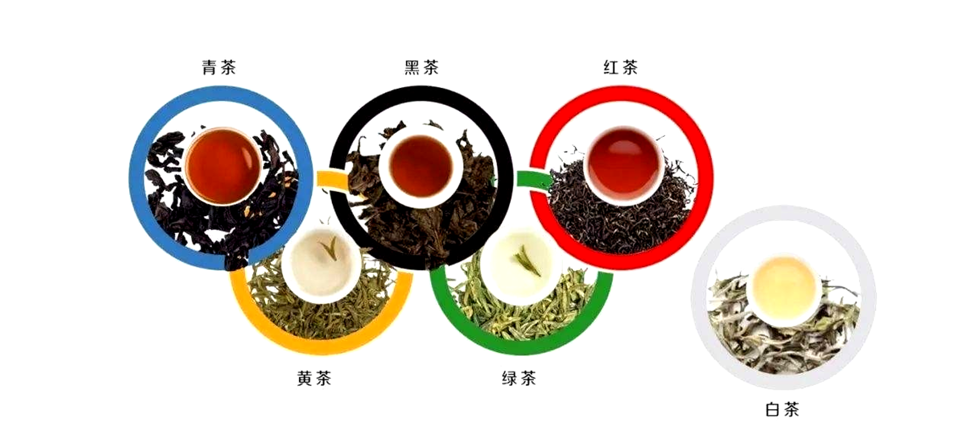 六大茶类到底有什么不为人知的区别？带你一探究竟 醉品茶城-茶叶、茶具一站式网上购物商城:铁观音,金骏眉,红茶,绿茶,大红袍,普洱茶,茶具